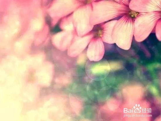 如何尽全力去完成自己该做的事?