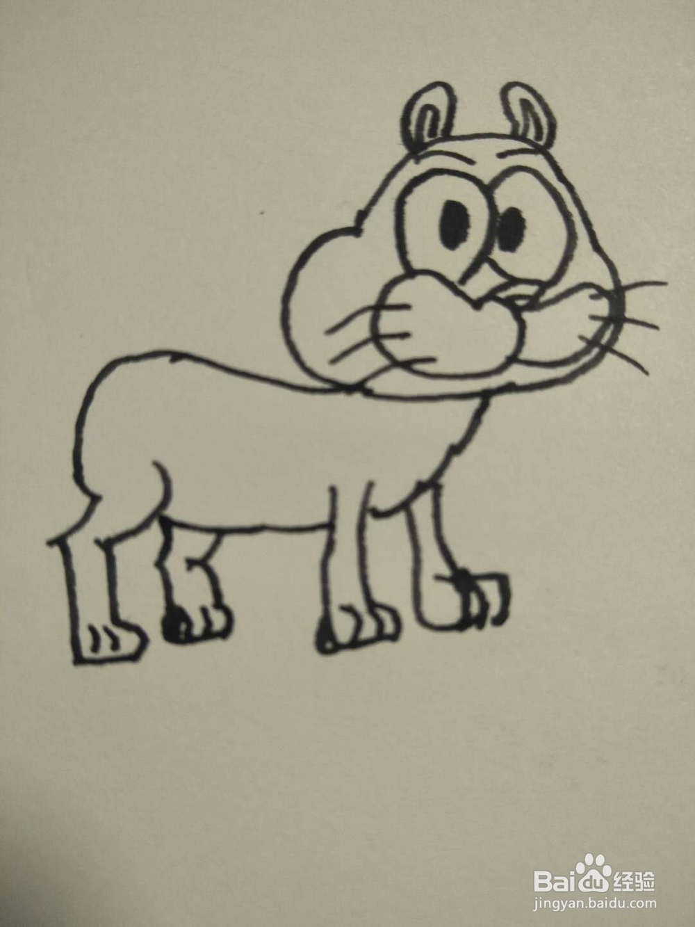 猫的简笔画法7