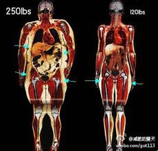 人体要害太阳穴
