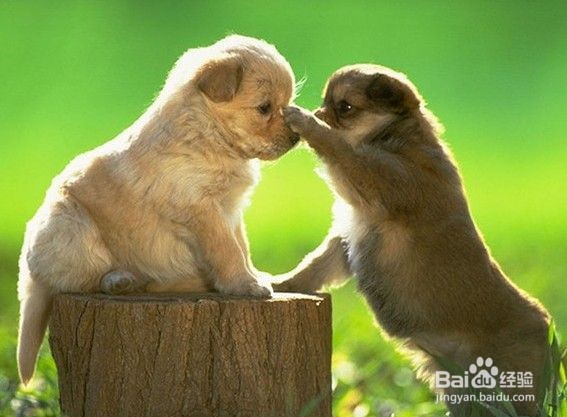 如何让孩子充满爱心，远离冷漠。