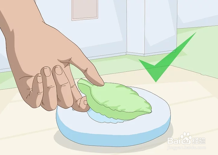 如何使用明胶或琼脂制造生物塑料