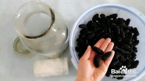 桑葚发酵酒怎么做