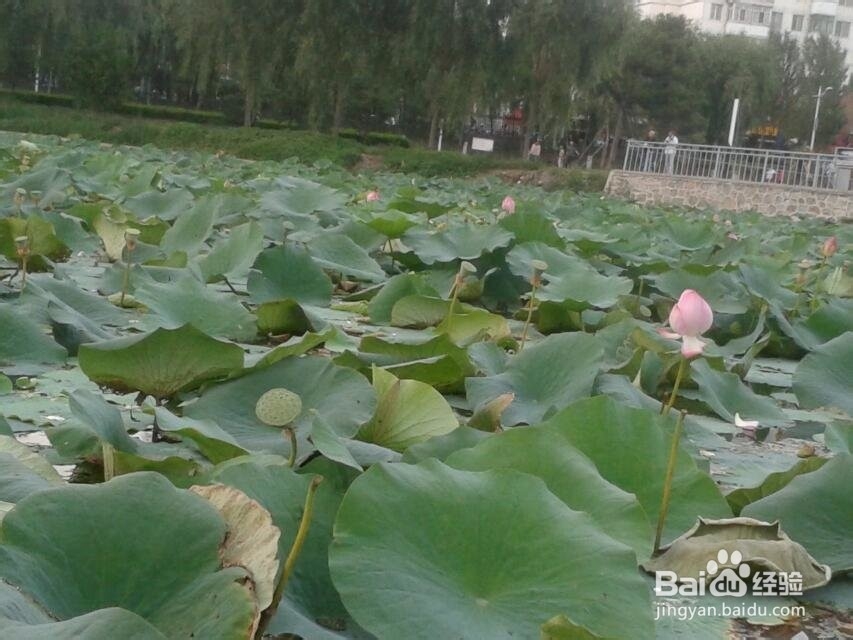 衣物清洗小妙招,很实用哦。