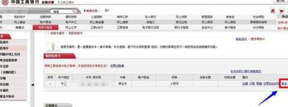 工商信用卡怎么查账单