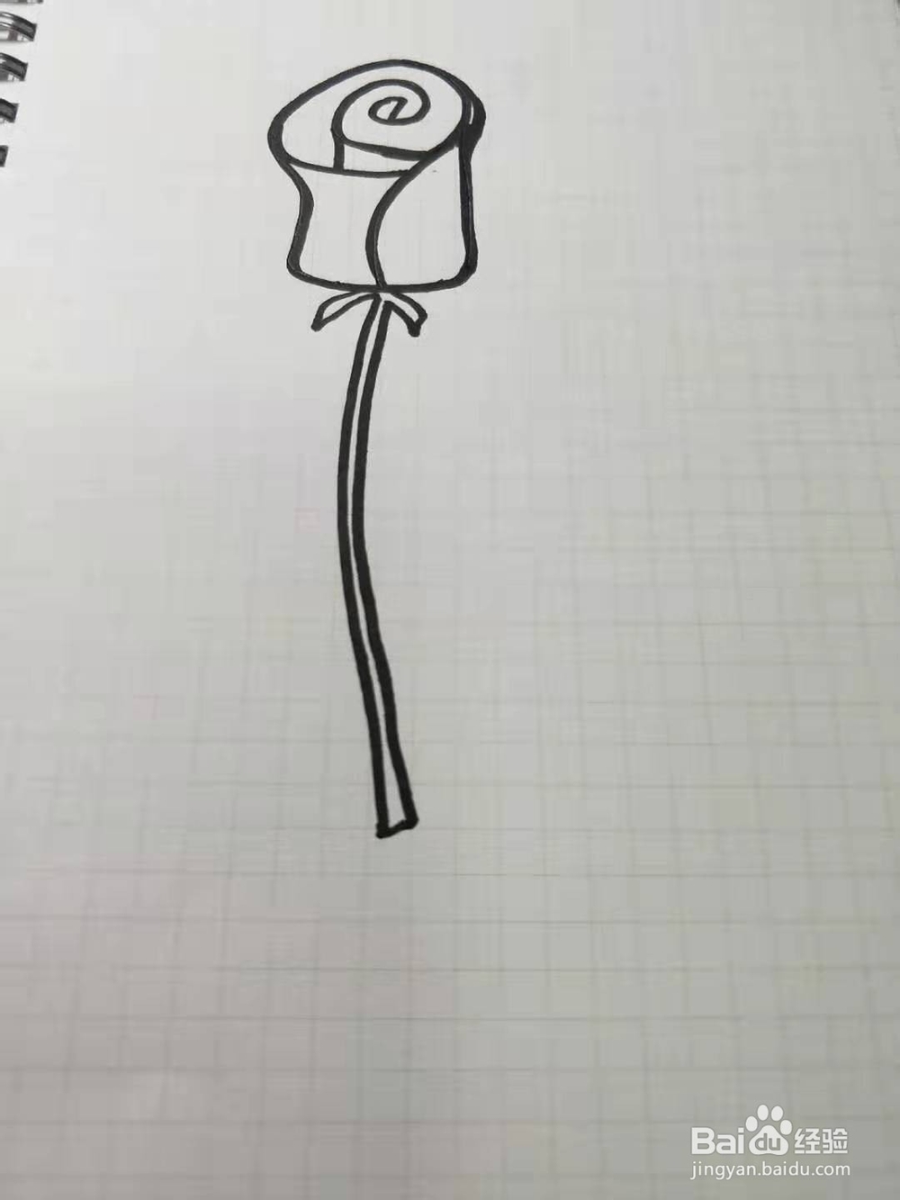 如何画玫瑰花简笔画？