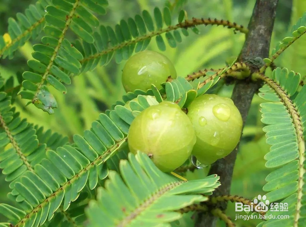有胃病的人不适合吃哪些食物