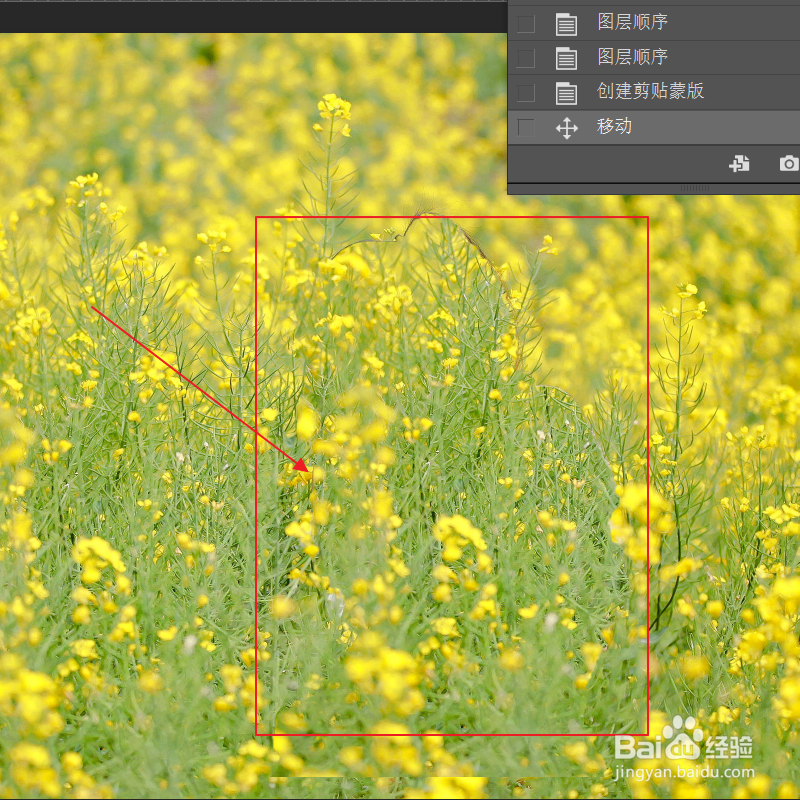 ps如何去掉复杂物体？