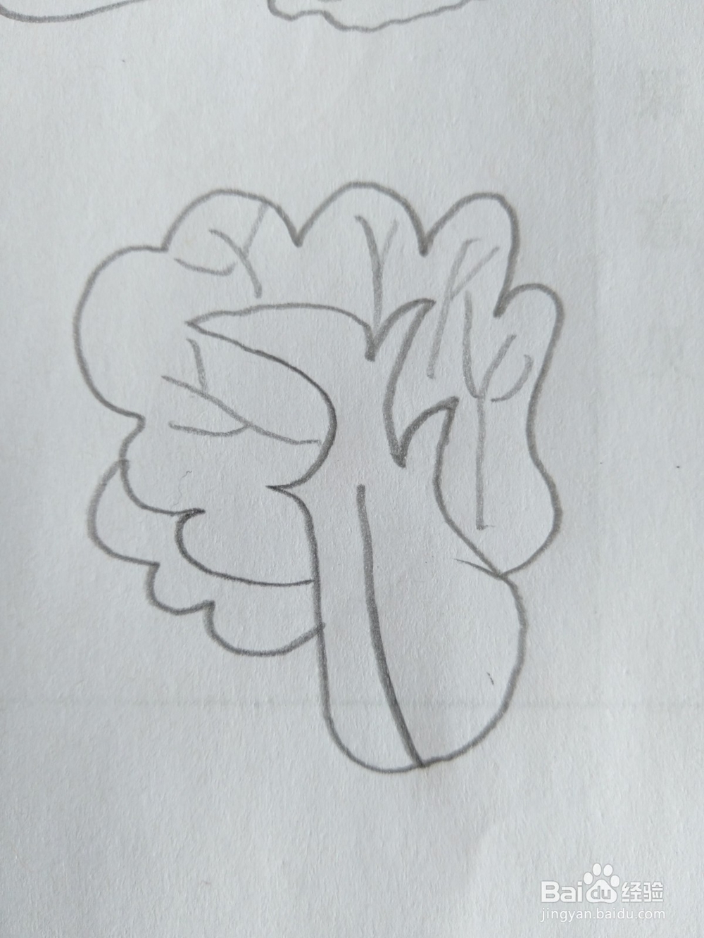 儿童简笔画白菜画法十