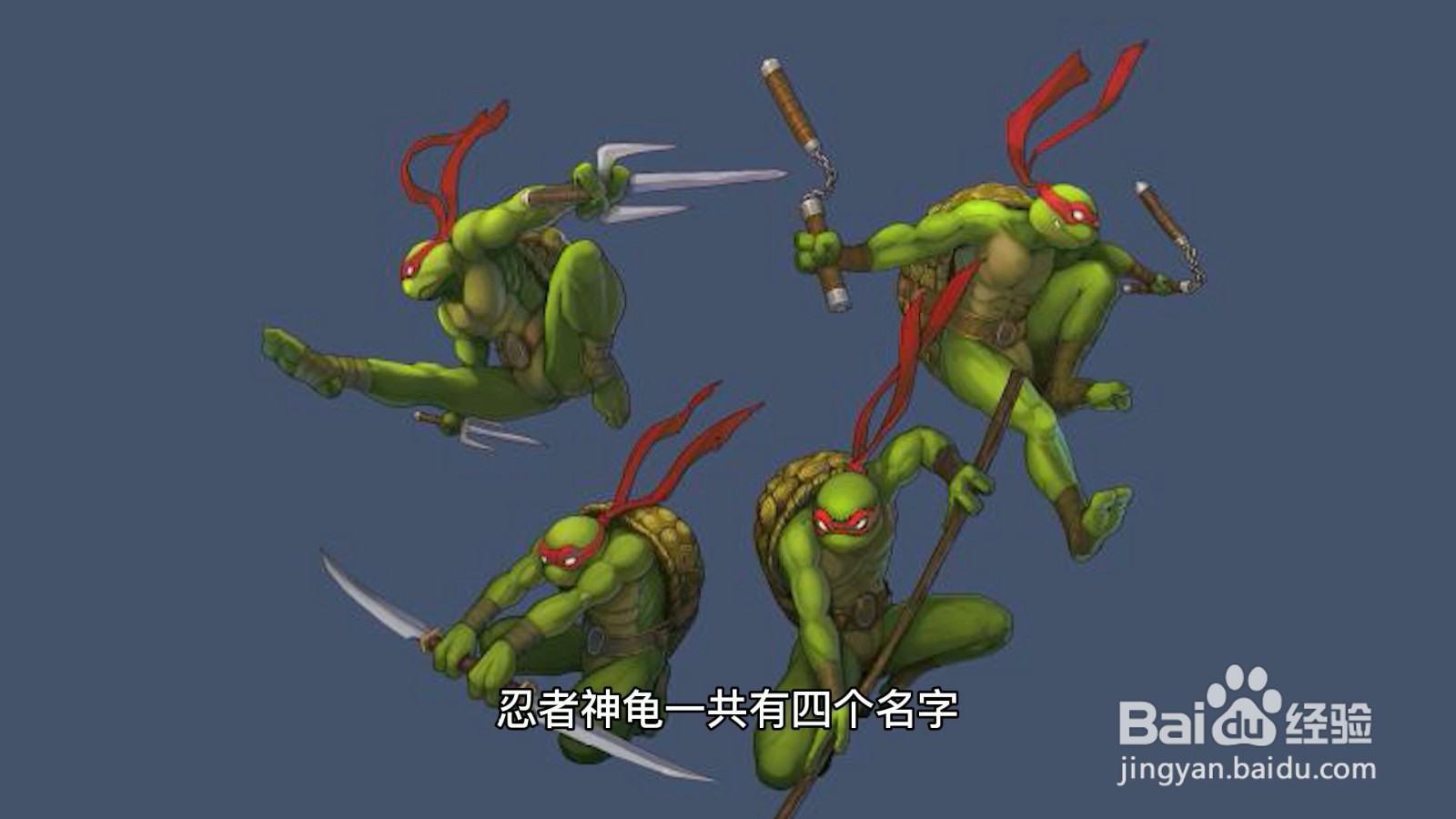 忍者神龟名字