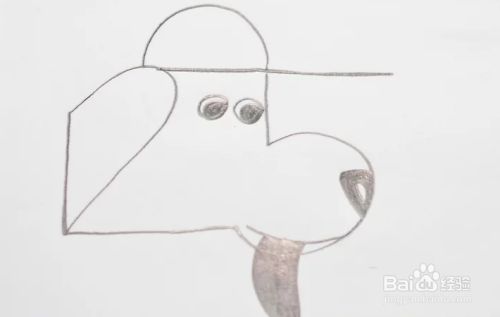 怎么把数字25画成戴帽子的狗 百度经验