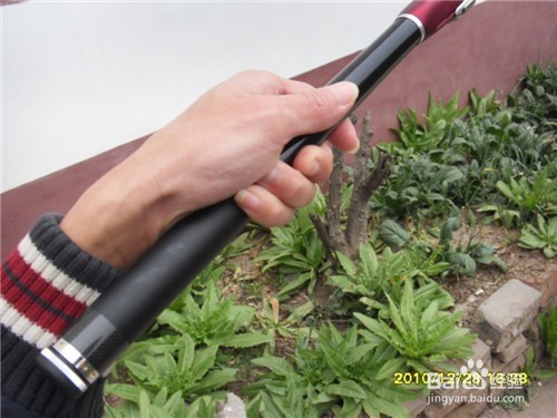 钓鱼新手如何选购鱼竿