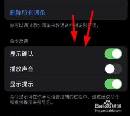 iPhone14如何打开命令反馈中的播放声音