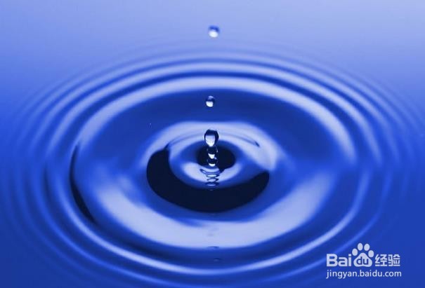 什么食物能够清肠