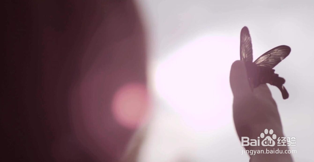 1万小时定律，可信吗？怎么理解一万小时定律