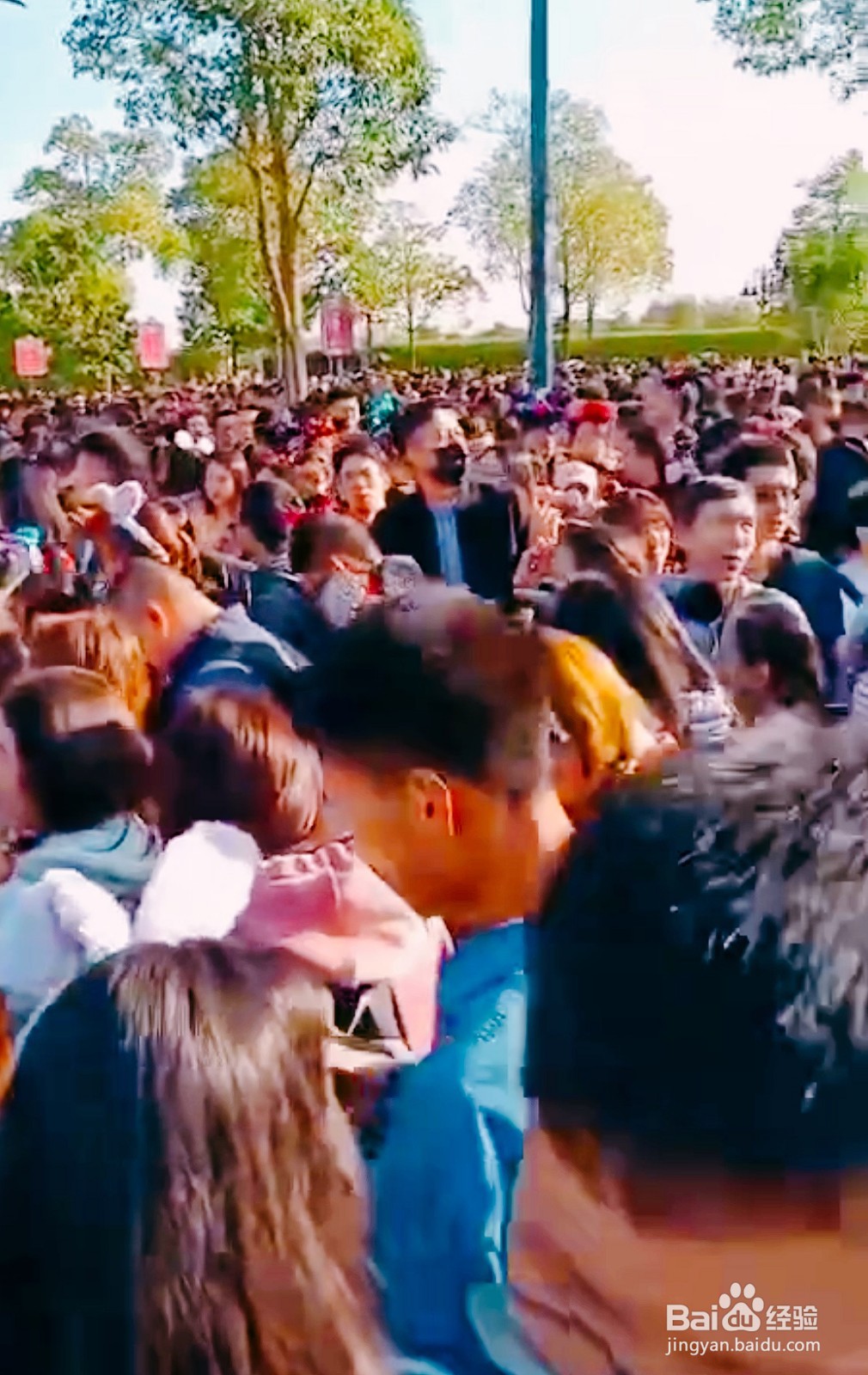 如何一天轻松搞定迪士尼热门项目