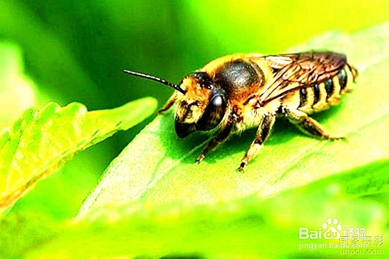 新站的整站规划