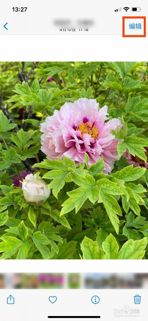 iphone把照片快速调成黑白色怎么操作