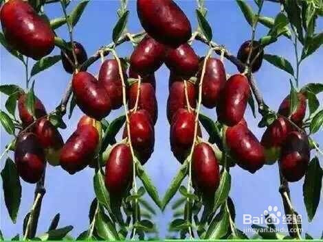 宁夏灵武市旅游指南