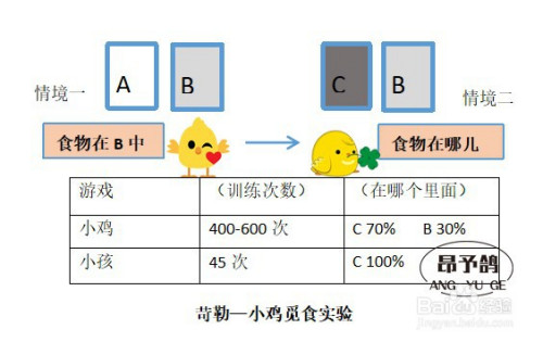 苛勒的小鸡觅食实验