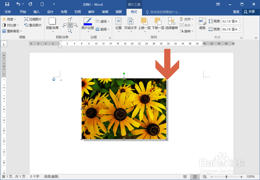 Word2016怎么给图片添加阴影效果