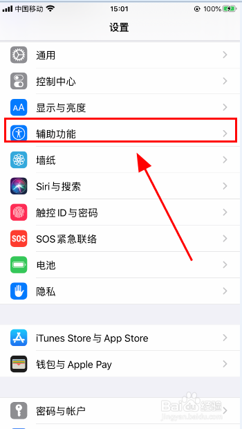 iPhone手机如何开启缩放功能