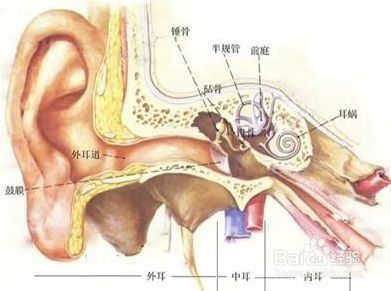 耳朵痛该怎么办 百度经验 耳朵痛该怎么办 百度经验