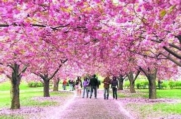 全世界特别的节日