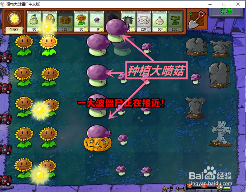 植物大战僵尸中，怎么对付铁栅门僵尸