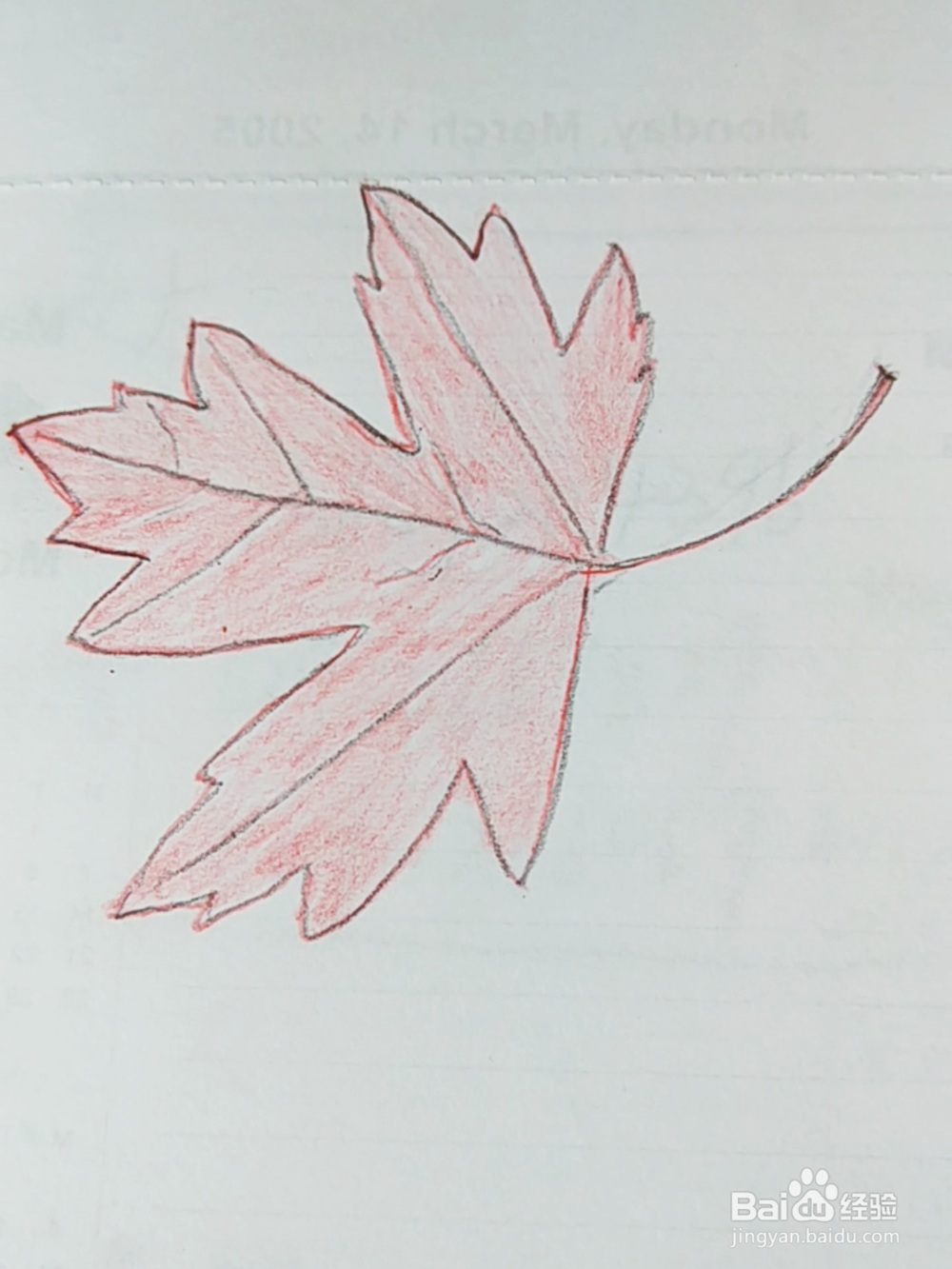 简笔画：红色枫叶画法