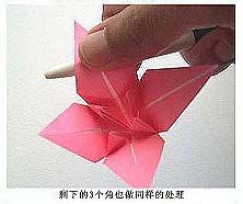 怎样DIY纸百合花