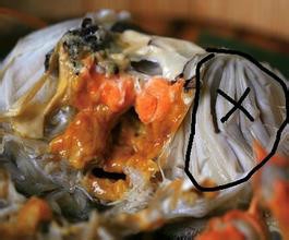 吃螃蟹需要知道的那些事