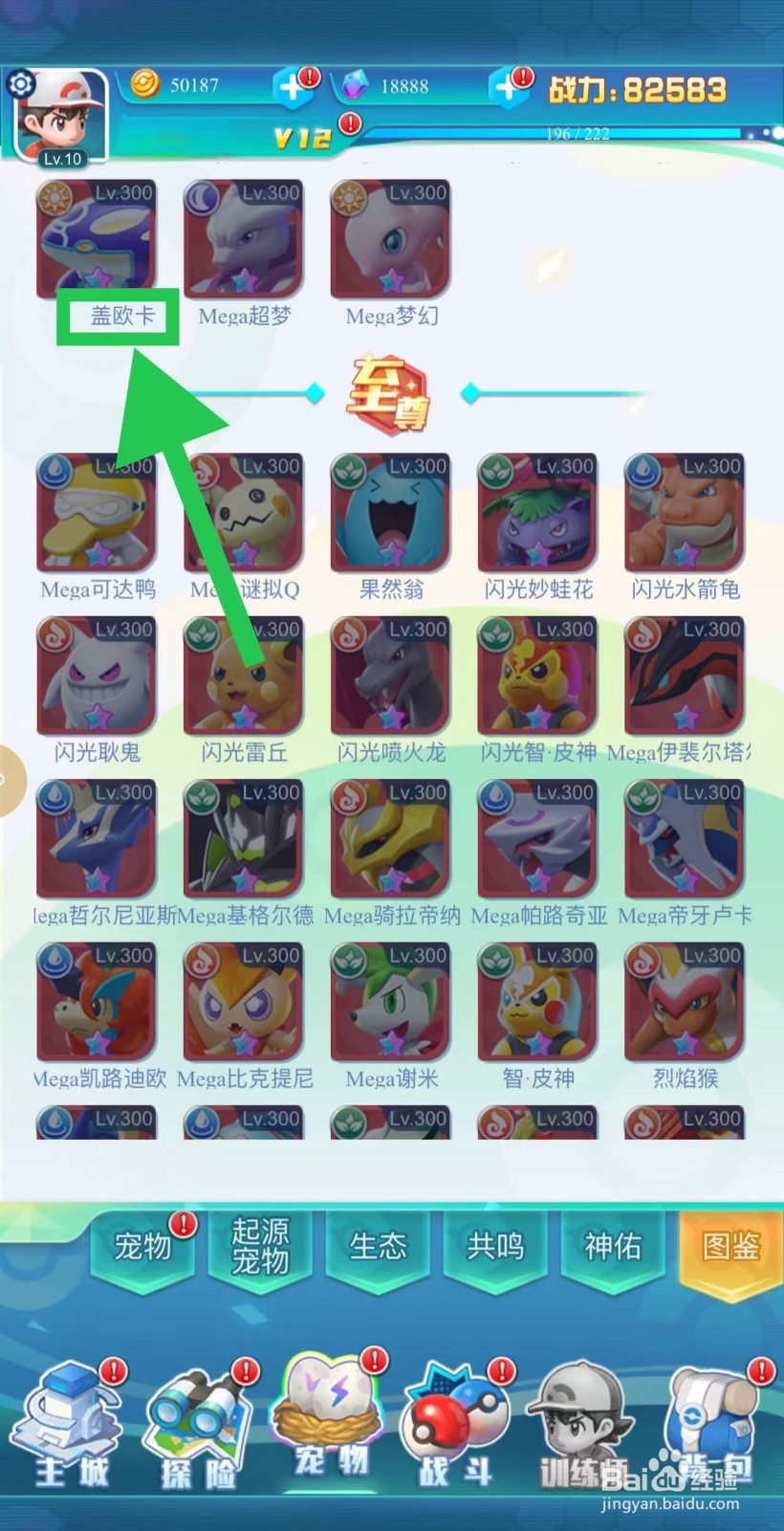 英雄魔法门如何查看盖欧卡的定位