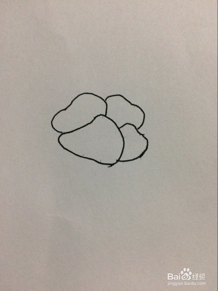 怎样手工画牡丹