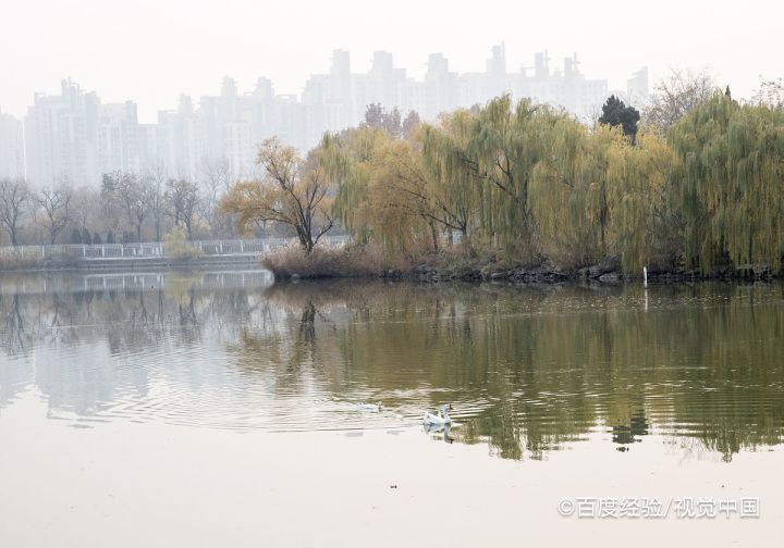 天津哪里好玩的景点推荐