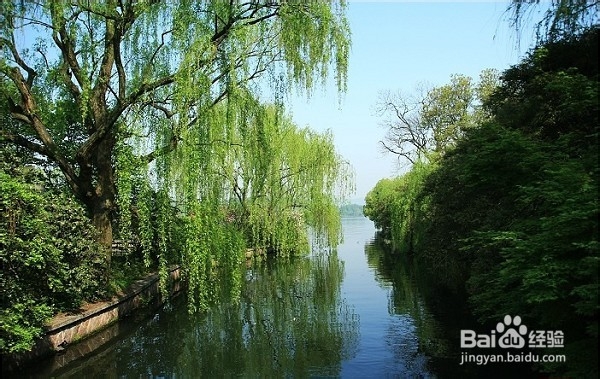 赏西湖美景 感人生风情