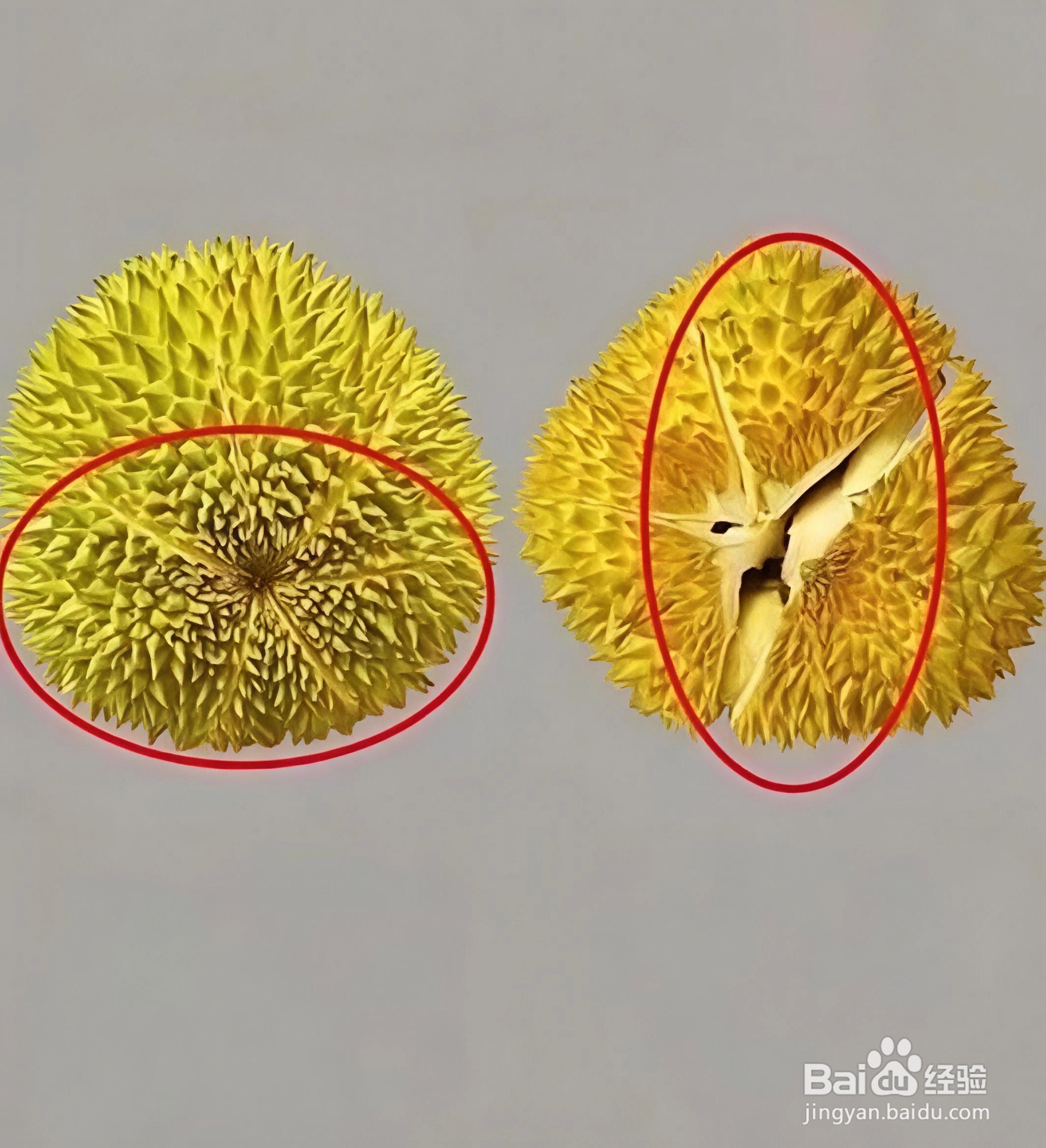 如何挑选榴莲？