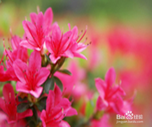 男生送什么礼物给女朋友才好。