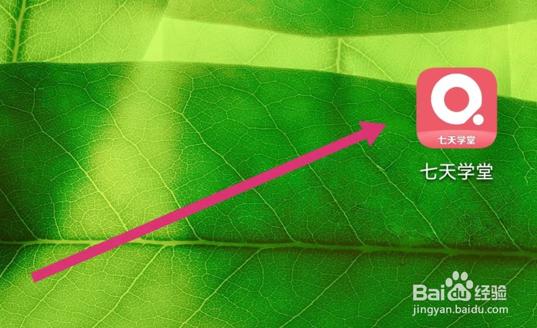 七天学堂APP如何查看学情分析？