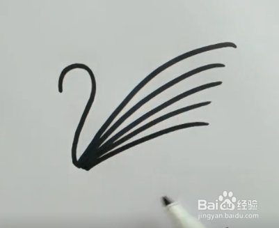 怎样简笔画孔雀