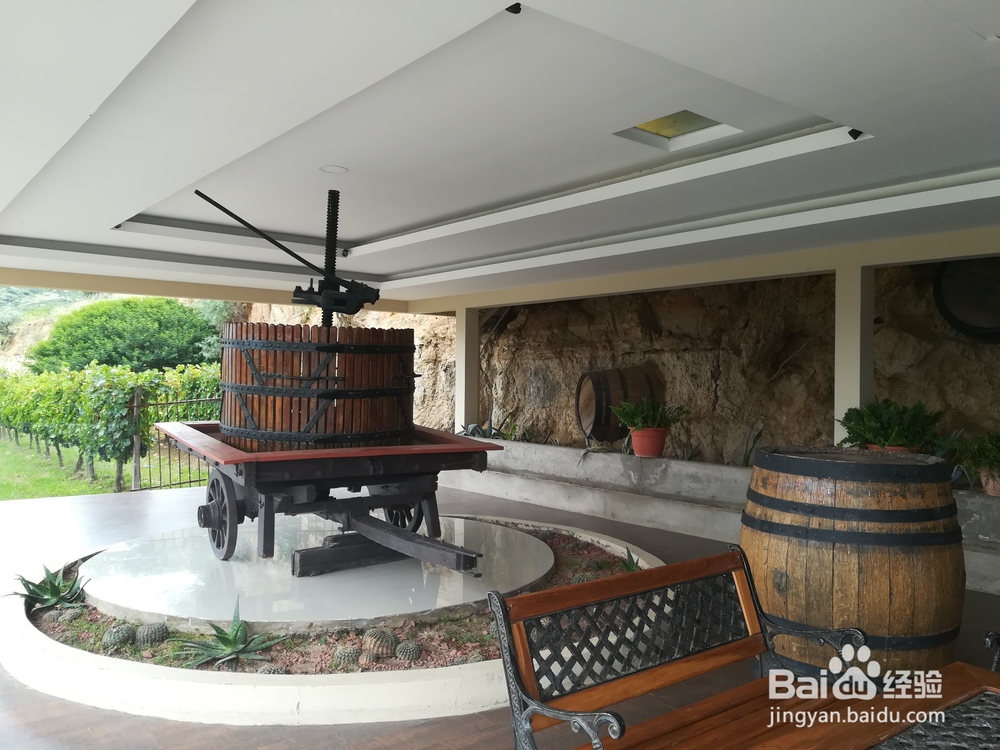 玻利维亚塔里哈市旅游攻略:红酒文化之旅