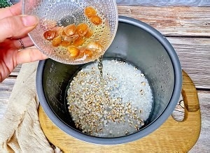怎么做桂圆薏仁粥