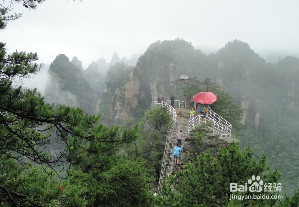 南阳到张家界自驾游