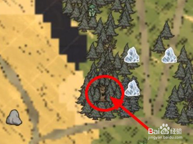 饥荒怎么刷活木头最快