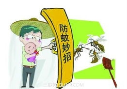 清明节要注意哪些