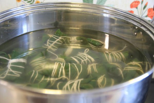 碧根果赤小豆红米粽子