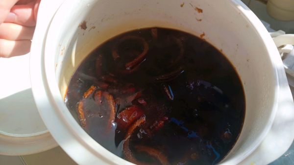 川贝陈皮柠檬膏