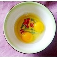 自己做蛋糕 用电饭锅DIY蛋糕的详细步骤