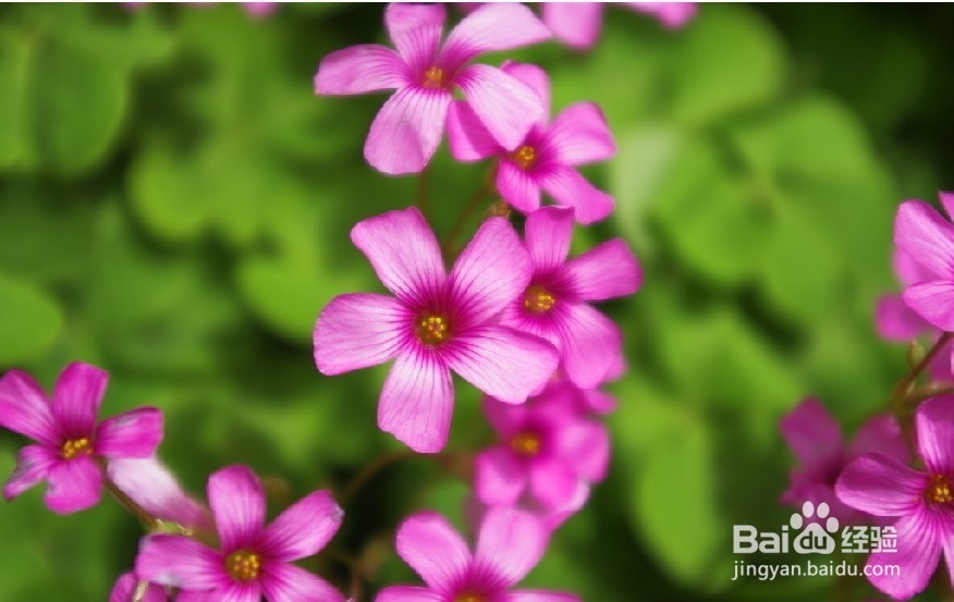 年轻人需做的10件事