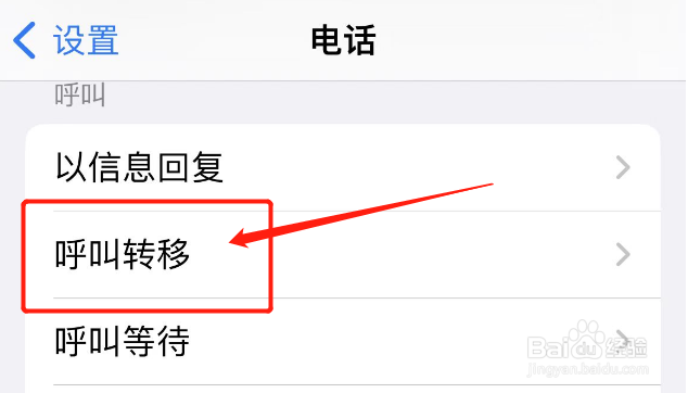 苹果手机呼叫转移怎么设置