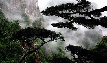 女人怎样过好更年期